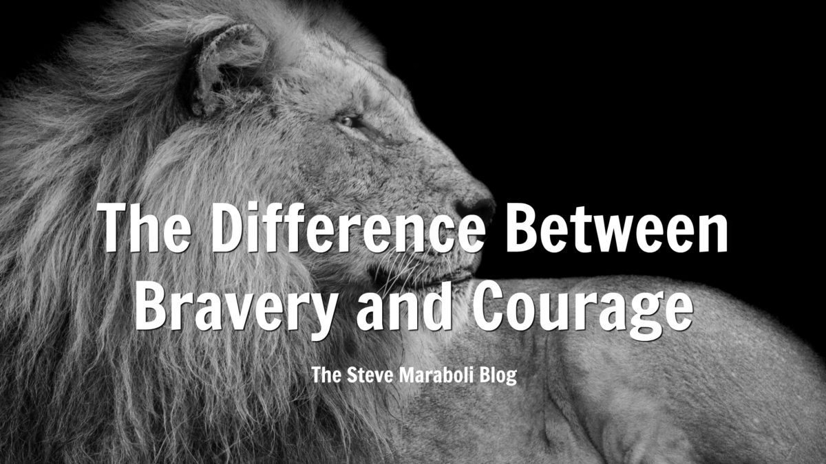 Steve Maraboli blog bravery courage lion